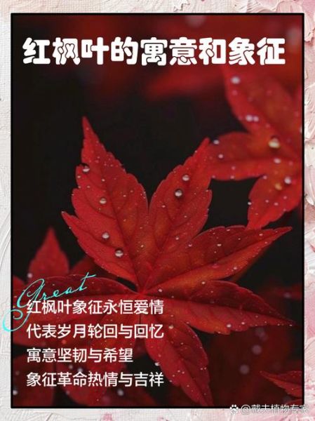 大红的什么词语最常用_大红的寓意和象征有哪些