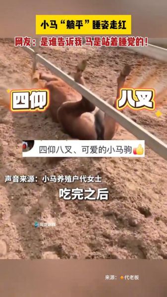 马啼声词语解释_马啼声是什么声音