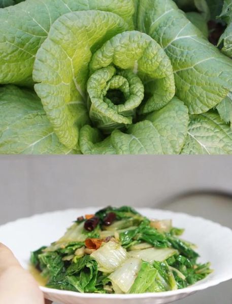 小白菜怎么炒好吃_家常小白菜做法步骤