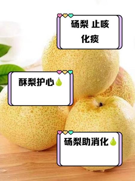 梨的功效与作用_梨的品种有哪些