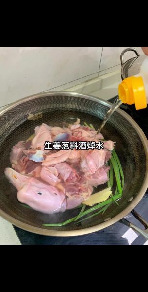 鹅的做法大全_鹅肉怎么炖才好吃