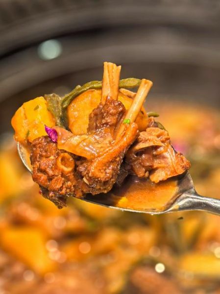 鹅的做法大全_鹅肉怎么炖才好吃