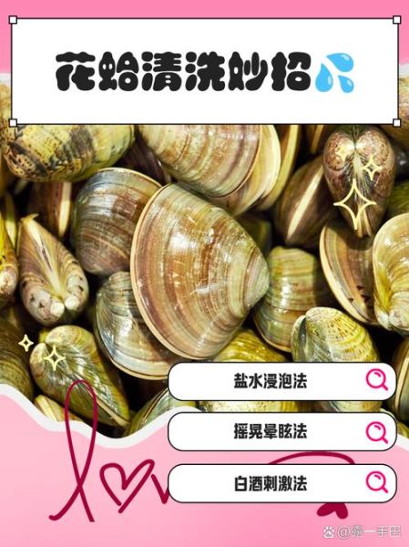 文蛤怎么清洗_文蛤怎么吐沙最快