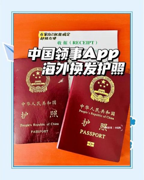护照移民怎么办理_护照移民需要多少钱