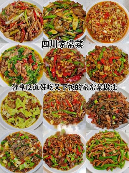 川菜家常做法_正宗川菜怎么做