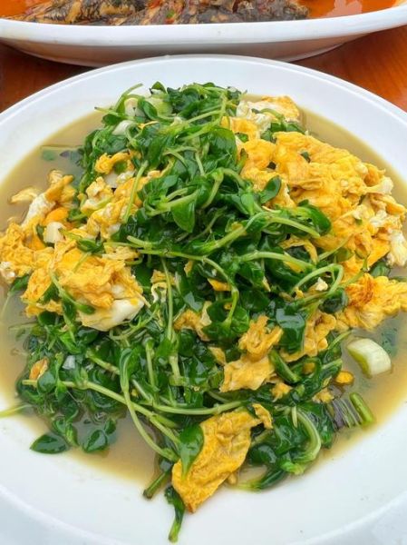 山野菜怎么做好吃_山野菜的做法大全