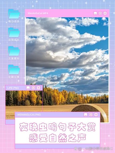 夏天虫鸣声有哪些_如何描写夏夜虫鸣