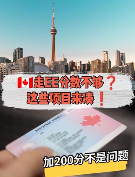 加拿大技术移民新政策_2024年EE快速通道如何加分