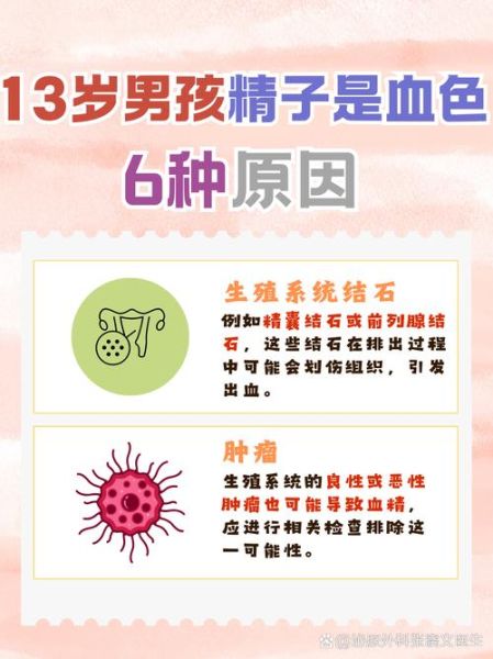 x血是什么意思_x血有哪些类型