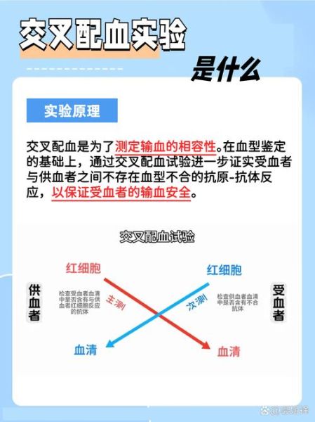 x血是什么意思_x血有哪些类型