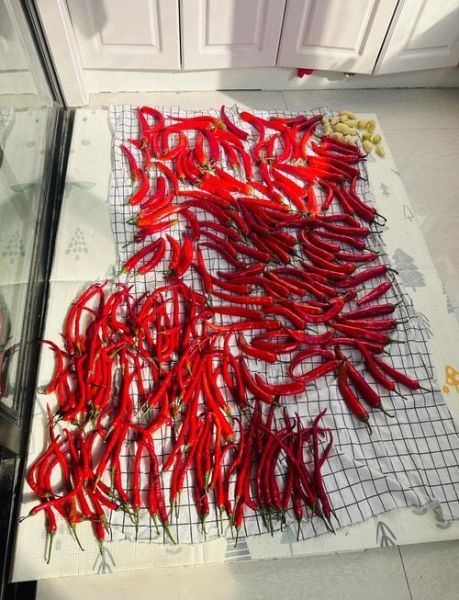 河南正宗辣椒酱豆怎么做_辣椒酱豆保存多久