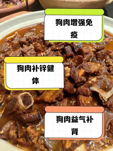 家常狗肉的做法_狗肉怎么炖才好吃