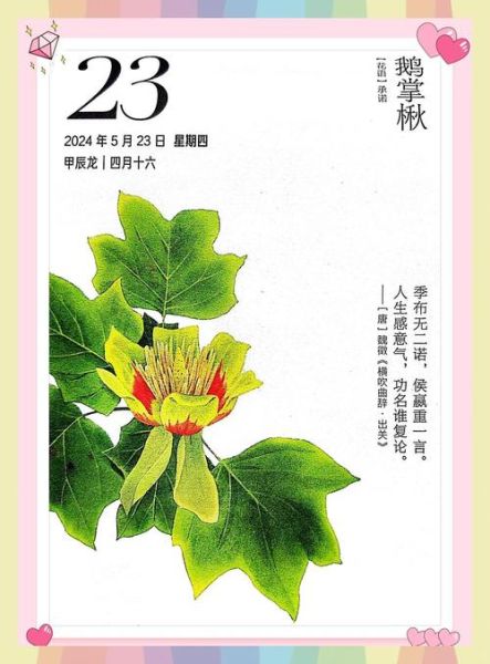花儿的绿色词语有哪些_花儿的绿色词语怎么写