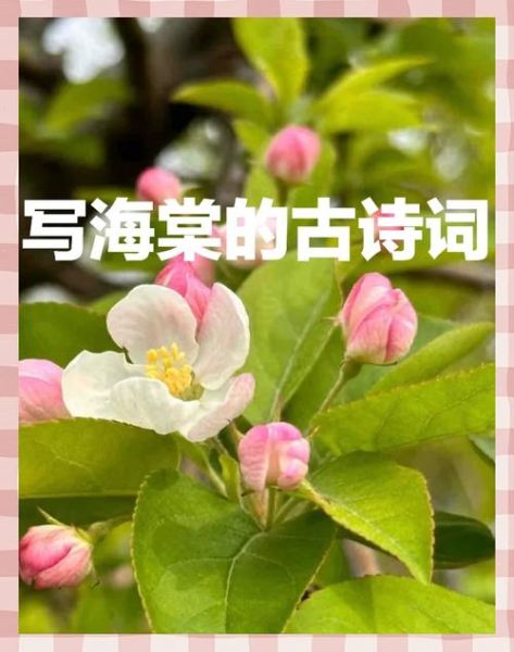花儿的绿色词语有哪些_花儿的绿色词语怎么写