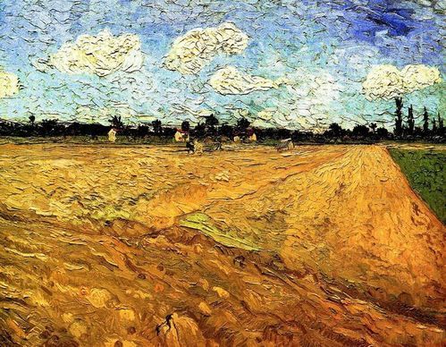 梵高移民条件_梵高移民流程