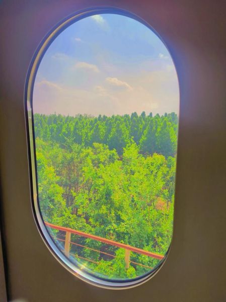 一路向西手机在线观看_哪里能看完整版