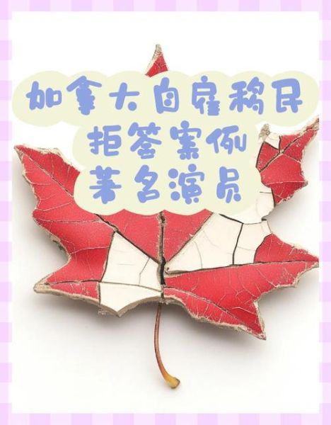 加拿大自雇移民真相_申请条件与拒签原因