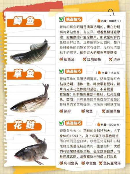 买海鲜怎么挑选新鲜_网上买海鲜哪个平台靠谱