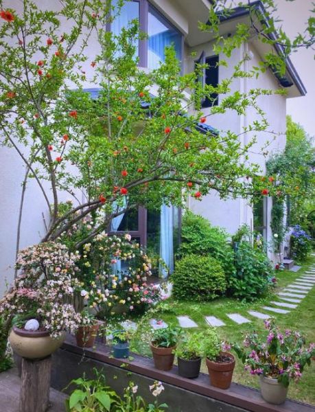 绿树成荫是什么意思_如何打造绿树成荫的庭院