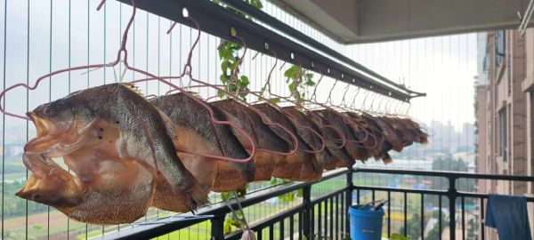 鱼干怎么晒_鱼干怎么保存