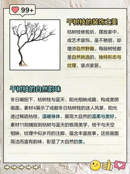 树枝是什么_树枝有哪些用途