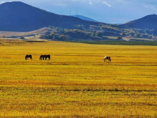 秋天适合去哪里旅游_秋天旅游最佳去处