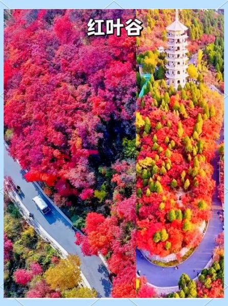 秋天适合去哪里旅游_秋天旅游最佳去处