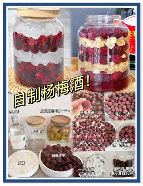 杨梅酒的做法_自制杨梅酒用什么酒好