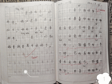 教学动态怎么写_教学动态范文模板