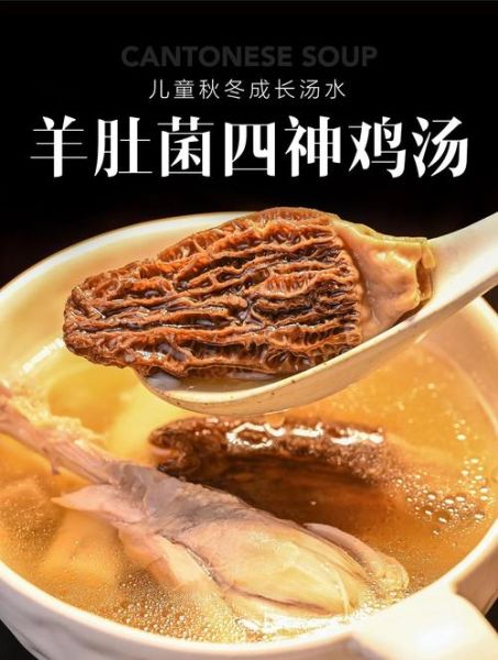 羊肚菌鸡汤怎么炖好喝_羊肚菌鸡汤的做法步骤