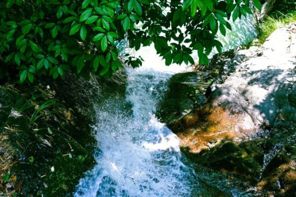 涧水是什么水_涧水泡茶好吗