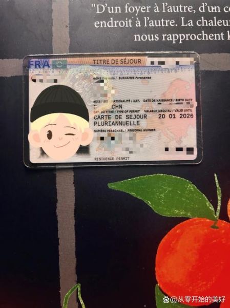 法国婚姻移民条件_法国婚姻移民多久能拿到绿卡