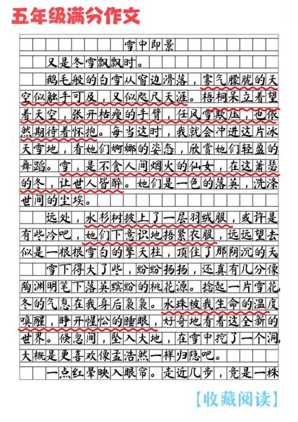 雪中景怎么描写_雪中景作文素材有哪些