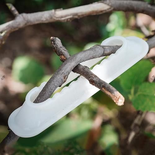 树枝干弯曲怎么办_树枝干弯曲怎么矫正