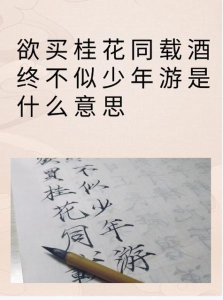 满酒是什么意思_满酒怎么喝才正宗