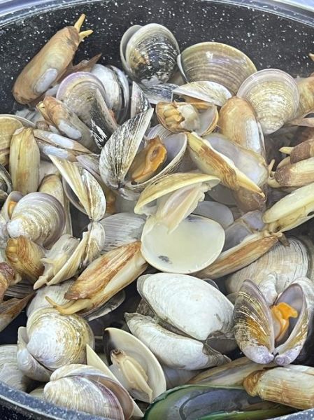 花甲怎么清洗才干净_花甲焯水几分钟才刚好