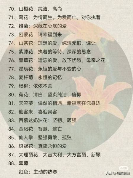 花朵姿态词语有哪些_如何描写花朵姿态