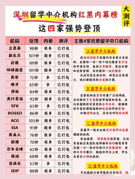 深圳移民中介哪家好_2024最新排行榜