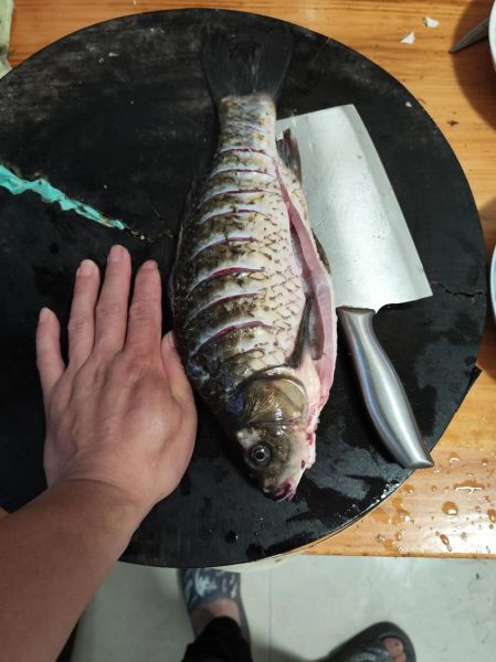 炖鱼怎么做才好吃_家常炖鱼做法步骤