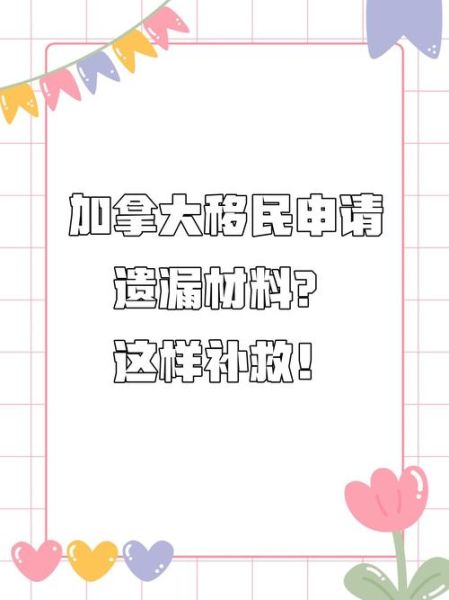 移民材料造假后果_如何补救