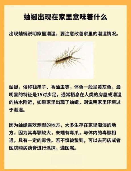 蜈蚣和蚰蜒的区别_家里出现怎么办