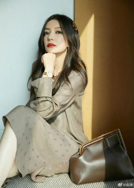 赵薇移民了吗_赵薇移民传闻真相