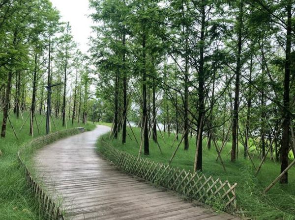 小径通幽处怎么走_曲径通幽处什么意思