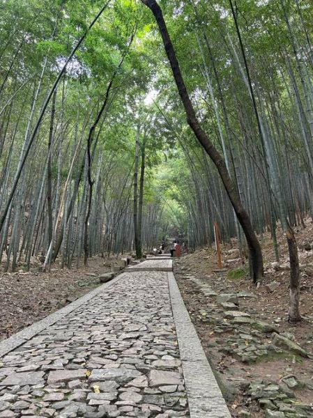 小径通幽处怎么走_曲径通幽处什么意思