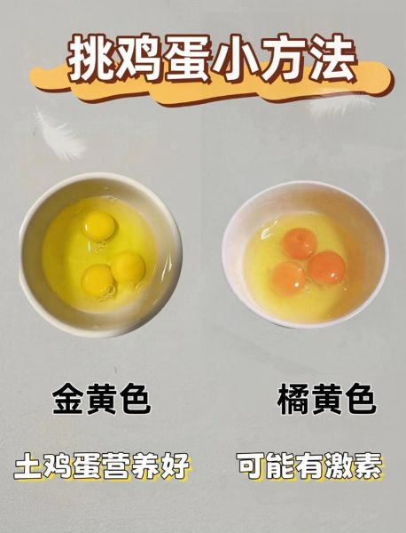 鸡蛋营养价值高吗_鸡蛋怎么吃最健康
