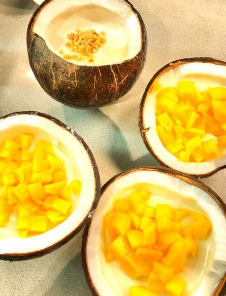 椰子冻怎么做_椰子冻需要哪些材料