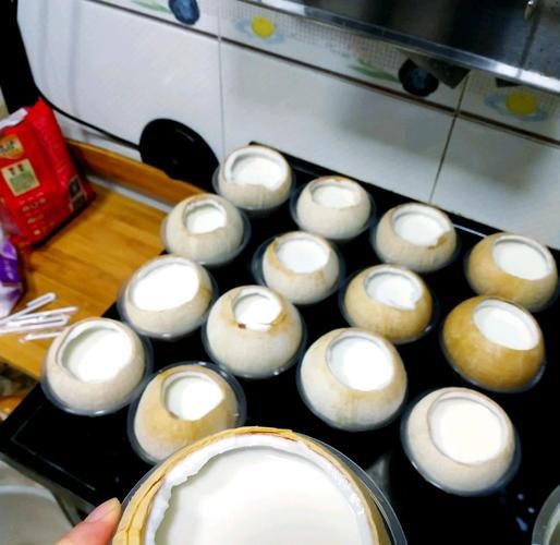 椰子冻怎么做_椰子冻需要哪些材料