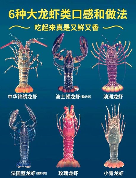大龙虾怎么做好吃_清蒸大龙虾的做法步骤