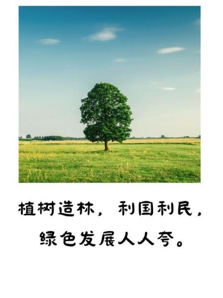绿树词语是什么_绿树有哪些象征意义