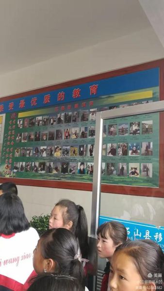 移民中学有哪些_移民中学怎么申请